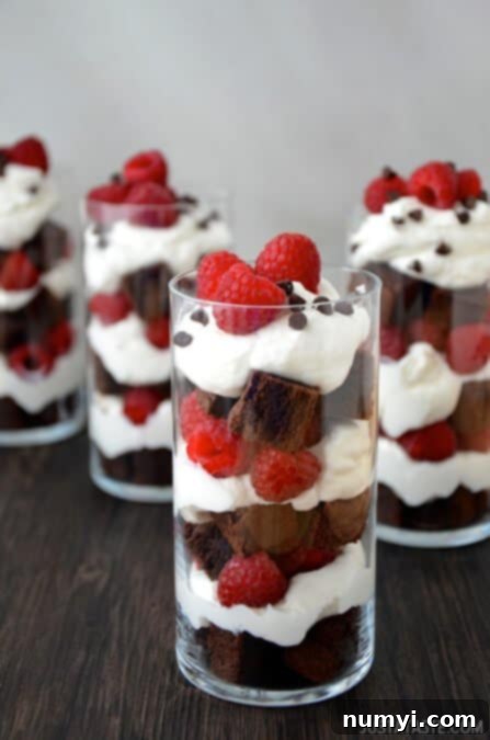 Elegant Individual Fruit and Brownie Trifles, a beautiful and delicious layered dessert
