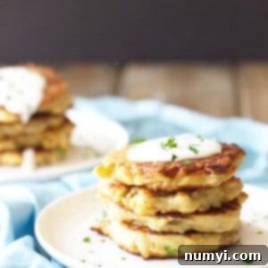 Golden Mashed Potato Fritters 6 Crispy Leftover Mashed Potato Pancakes with Scallions
