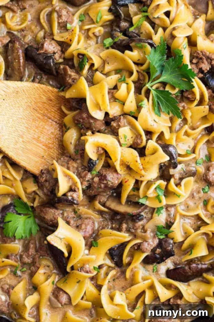 closeup of hamburger helper stroganoff