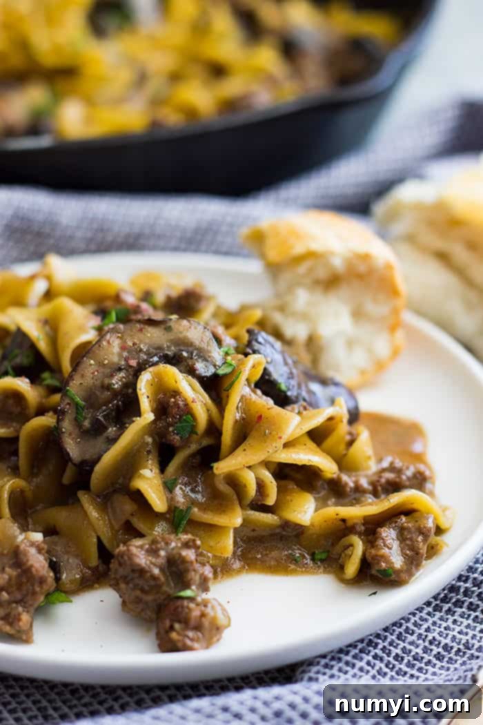 plate with stroganoff hamburger helper