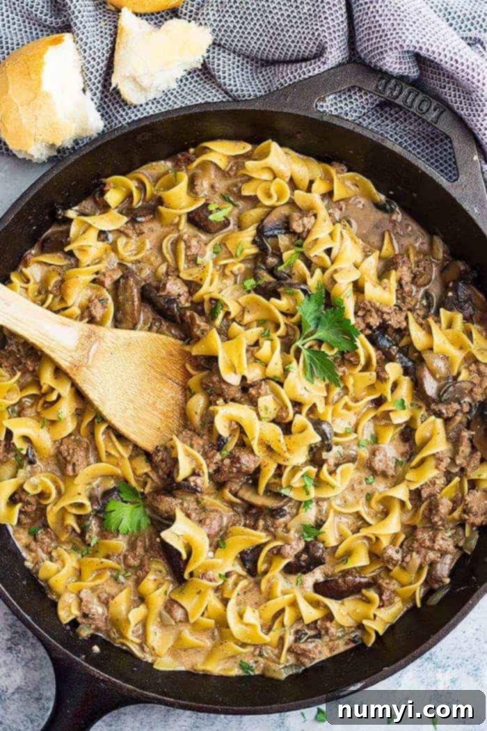 overhead view of easy hamburger stroganoff