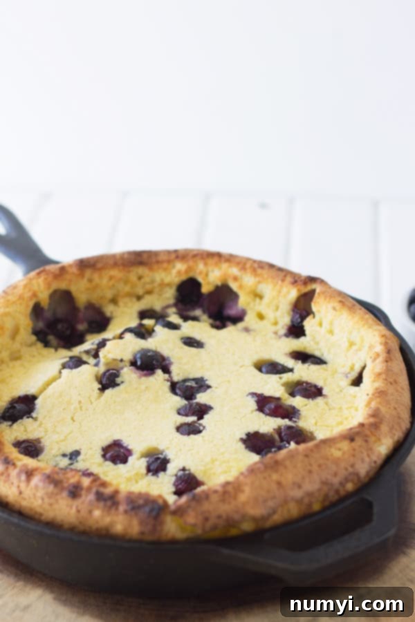 Golden, puffed Blueberry Dutch Baby topped with vibrant lemon curd, ready to be served for an impressive breakfast.
