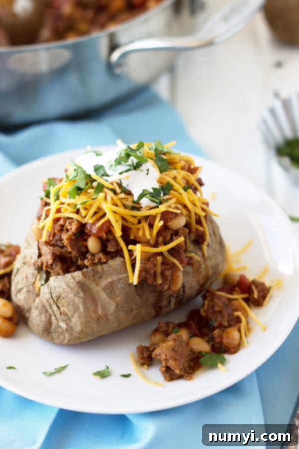 A plate of two fully loaded taco baked potatoes, ready to be served.