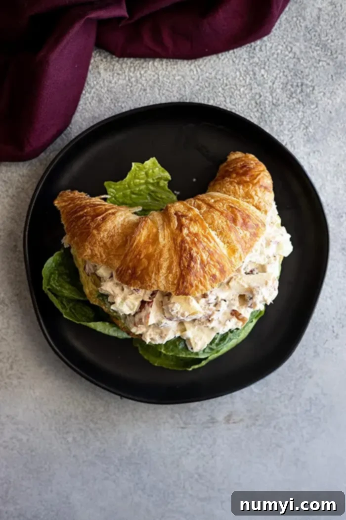Crisp Apple Tuna Delight 6 Overhead view: Apple tuna salad served on a croissant, placed on a black plate with a fresh lettuce leaf for garnish.
