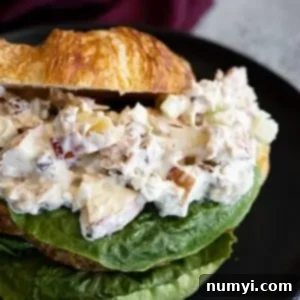 Crisp Apple Tuna Delight 7 Apple tuna salad piled on a buttery croissant with a leaf of lettuce.