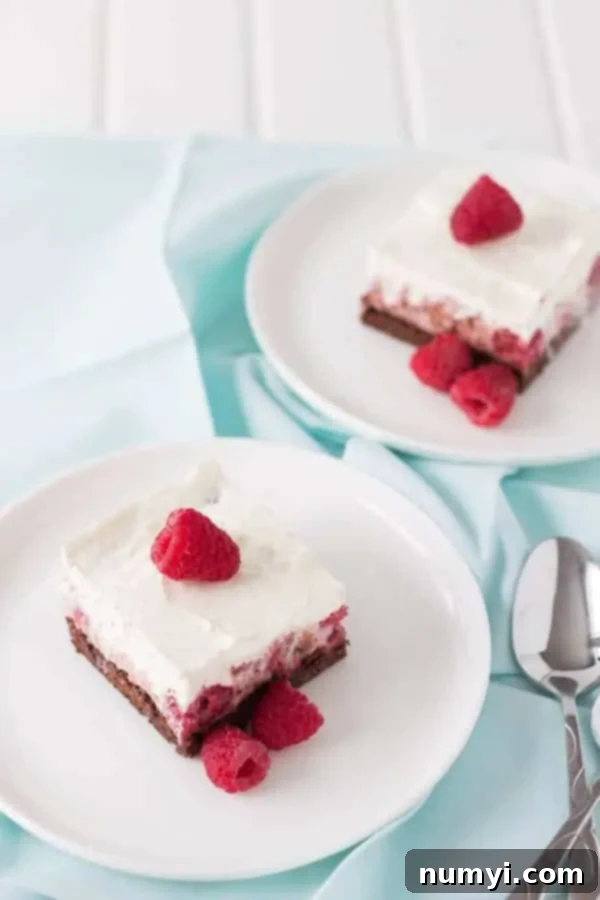 Raspberry Chocolate Brownie FroYo Delight 2 Raspberry and chocolate brownie dessert cut into squares and placed on white plates for serving, garnished with fresh raspberries.