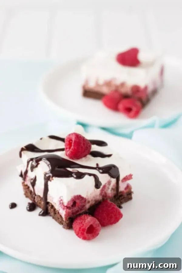 Raspberry Chocolate Brownie FroYo Delight 4 Side view of a brownie with raspberry frozen yogurt on top, placed on a white plate and drizzled generously with hot fudge sauce.