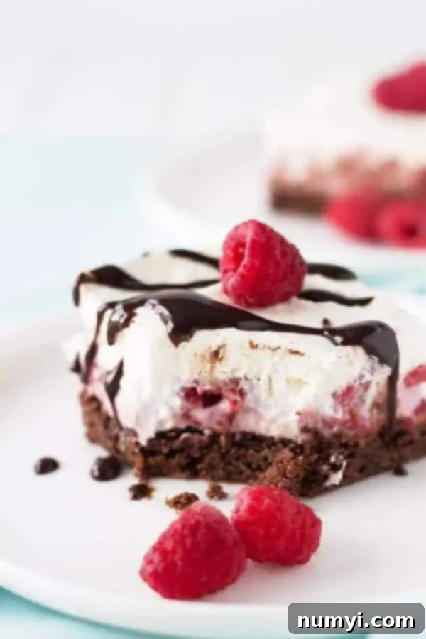 Raspberry Chocolate Brownie FroYo Delight 5 Side view closeup: frozen yogurt dessert with a small bite taken out, clearly showing each individual layer of the rich brownie, creamy frozen yogurt, and fluffy whipped cream.