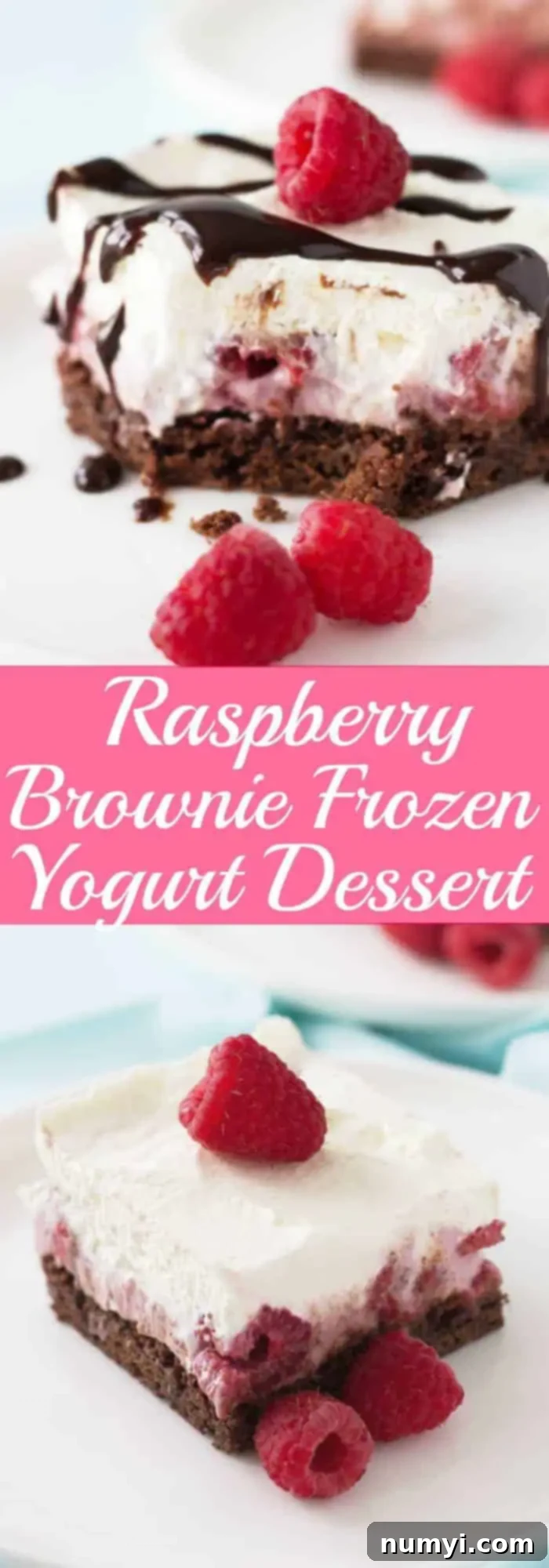 Raspberry Chocolate Brownie FroYo Delight 6 Titled image showing a full view of the Raspberry Brownie Frozen Yogurt Dessert, ready to be cut and served.