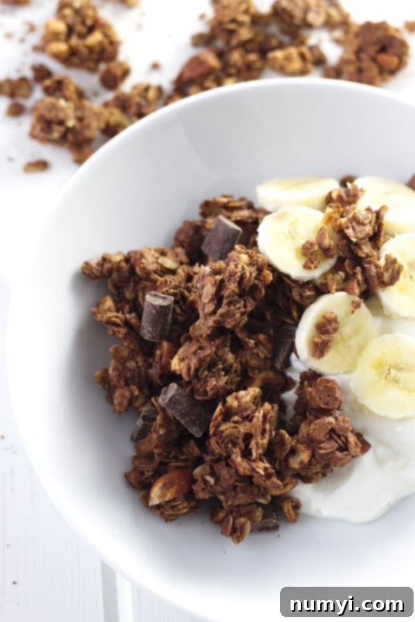 Close-up of golden-brown granola pieces studded with chocolate, ready to be broken into clusters