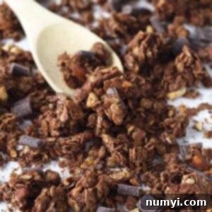 A delicious bowl of homemade Chocolate Peanut Butter Granola with milk and fresh berries