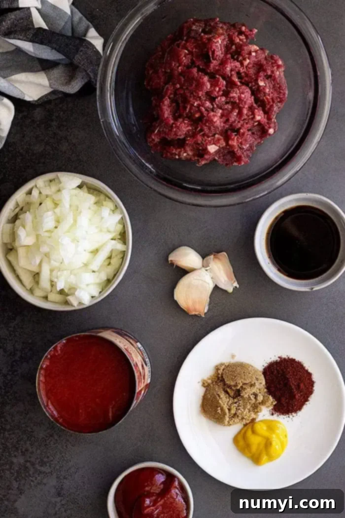 Overhead view of all the key ingredients laid out for making homemade sloppy joes, including ground beef, onions, garlic, tomato sauce, ketchup, and various spices.