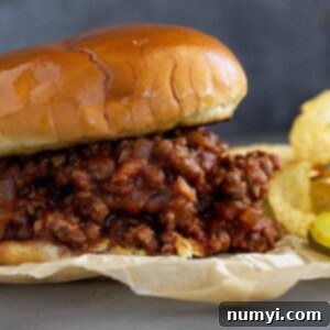 Close up of a sloppy joe.