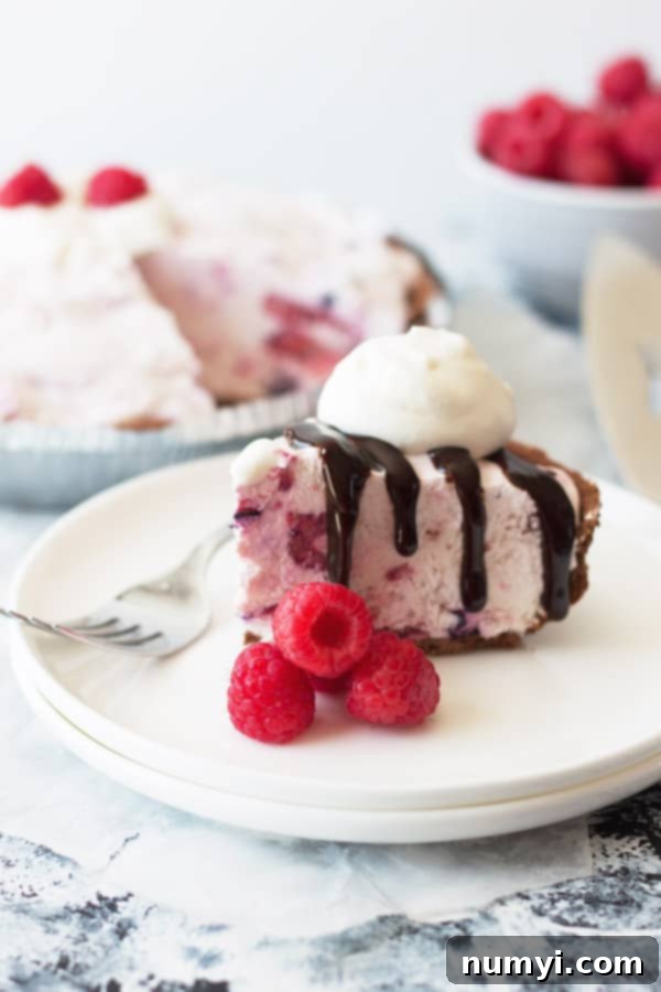 creamy frozen triple berry cheesecake topped with hot fudge and whipped cream