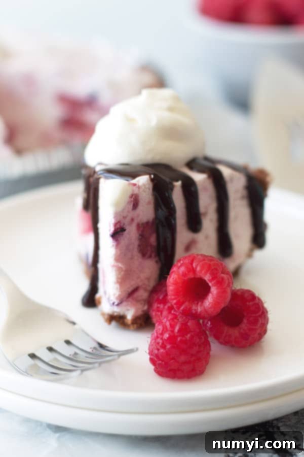 close up shot of triple berry frozen cheesecake with raspberries, hot fudge, and whipped cream garnishing it