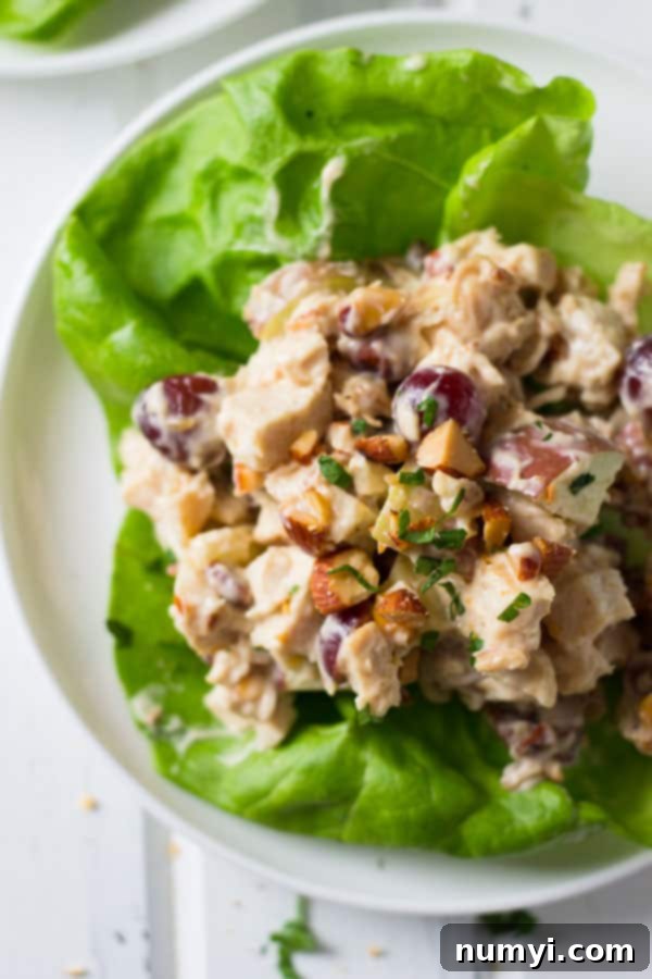 Another detailed view of the mixed chicken salad, showcasing the vibrant colors and appealing texture of the fresh ingredients, ready for a brief chill to allow flavors to meld.