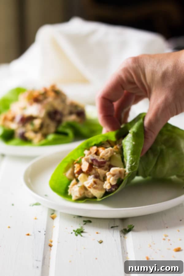 A beautifully plated serving of Homemade Chicken Salad on a vibrant bed of fresh green lettuce, elegantly garnished with a few whole habanero BBQ almonds, ready to be enjoyed as a refreshing meal.