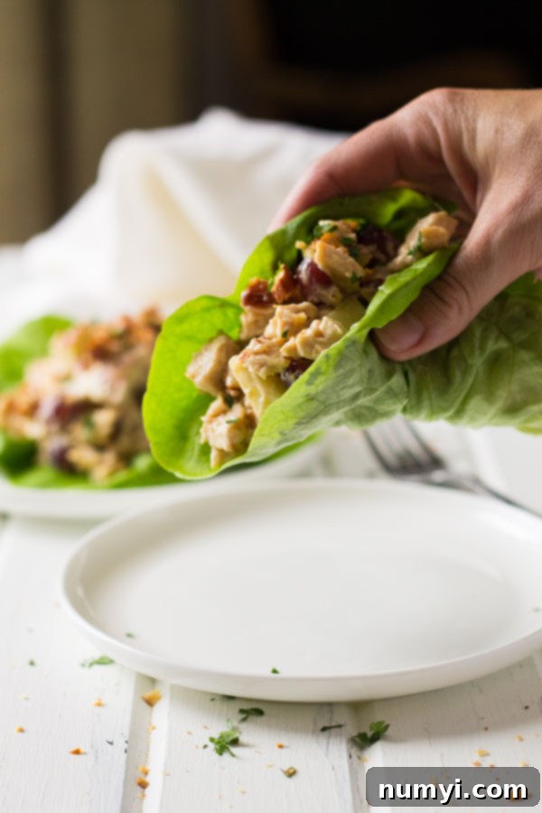 Another enticing shot of the Habanero BBQ Chicken Salad, showing its rich, creamy texture and distinct ingredients clearly visible within a stylish serving bowl, inviting a taste.