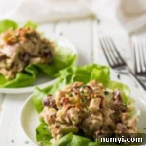 Deliciously Simple Chicken Salad 7 A top-down view of the prepared Homemade Chicken Salad, showing its vibrant colors and inviting texture in a small serving bowl.