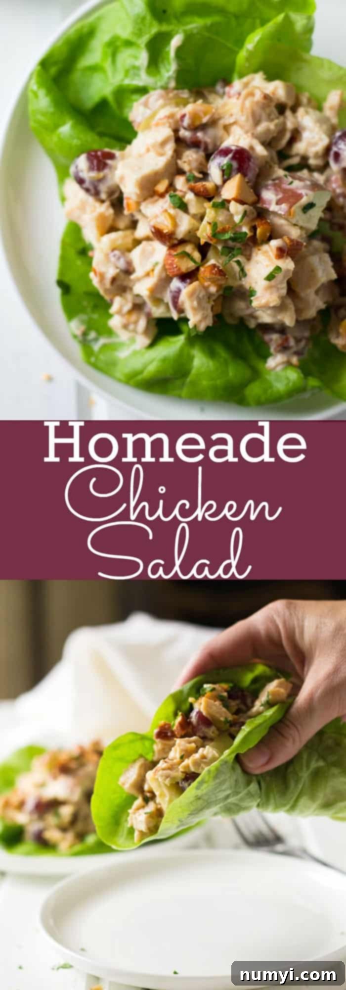 Deliciously Simple Chicken Salad 8 Close-up of the chicken salad with a focus on the texture and the various ingredients mixed together, showing off the vibrant blend of chicken, fruit, vegetables, and seasoned almonds, ready for a delicious taste.