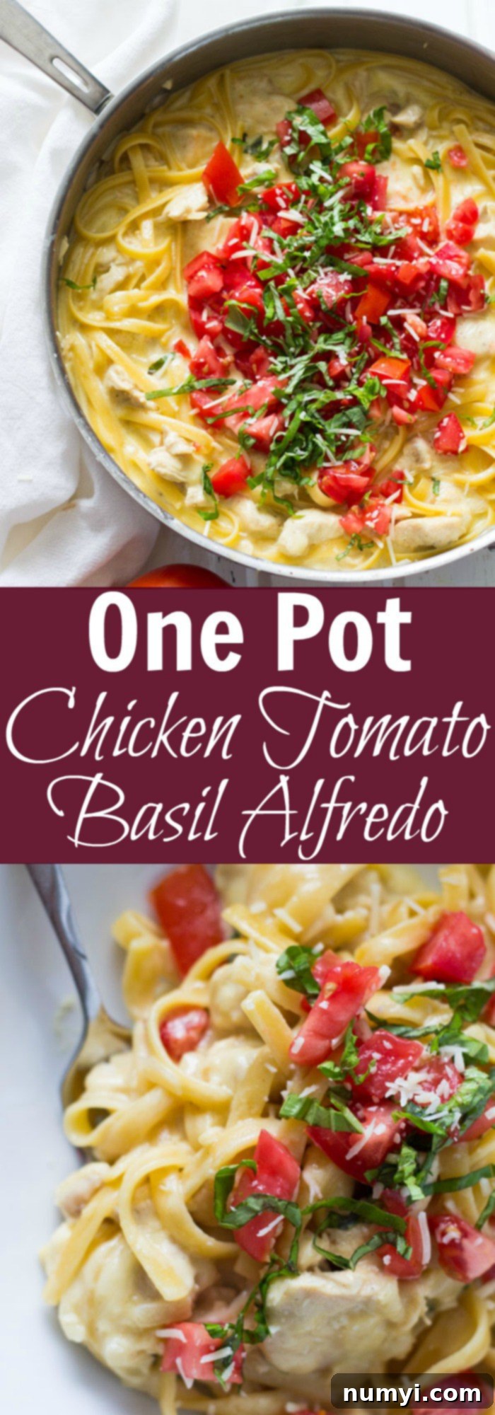 Creamy One Pot Tomato Basil Chicken Alfredo 9 One Pot Chicken Tomato Basil Alfredo - a quick and super easy meal that uses everyday ingredients but tastes amazing, garnished with fresh basil.