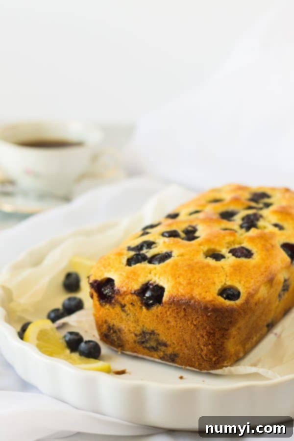 This moist Lemon Blueberry Bread is studded with juicy blueberries and loaded with lemon flavor. The optional lemon glaze adds more flavor and locks in moisture. 