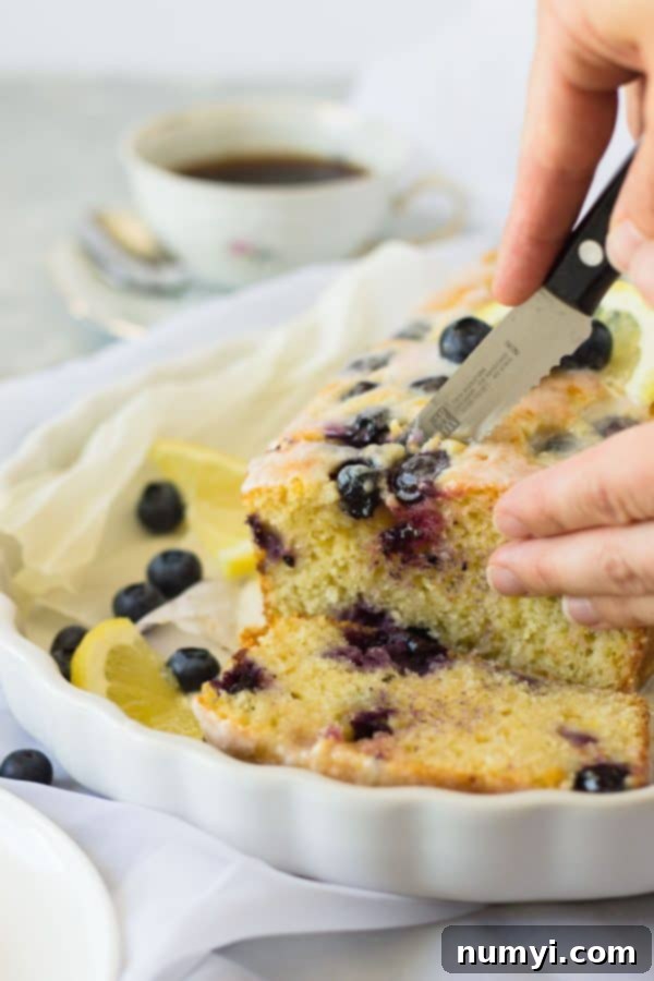 This moist Lemon Blueberry Bread is studded with juicy blueberries and loaded with lemon flavor. The optional lemon glaze adds more flavor and locks in moisture. 