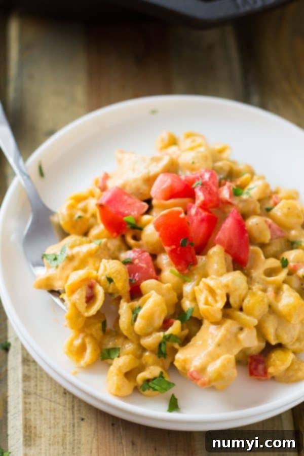 Creamy One Pot Southwestern Chicken Macaroni and Cheese with fresh cilantro