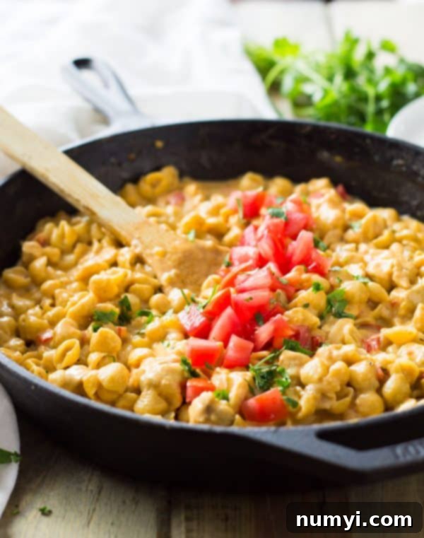 A serving of One Pot Southwestern Chicken Macaroni and Cheese garnished with fresh cilantro