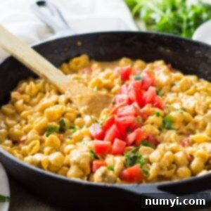 One Pot Southwestern Chicken Macaroni and Cheese