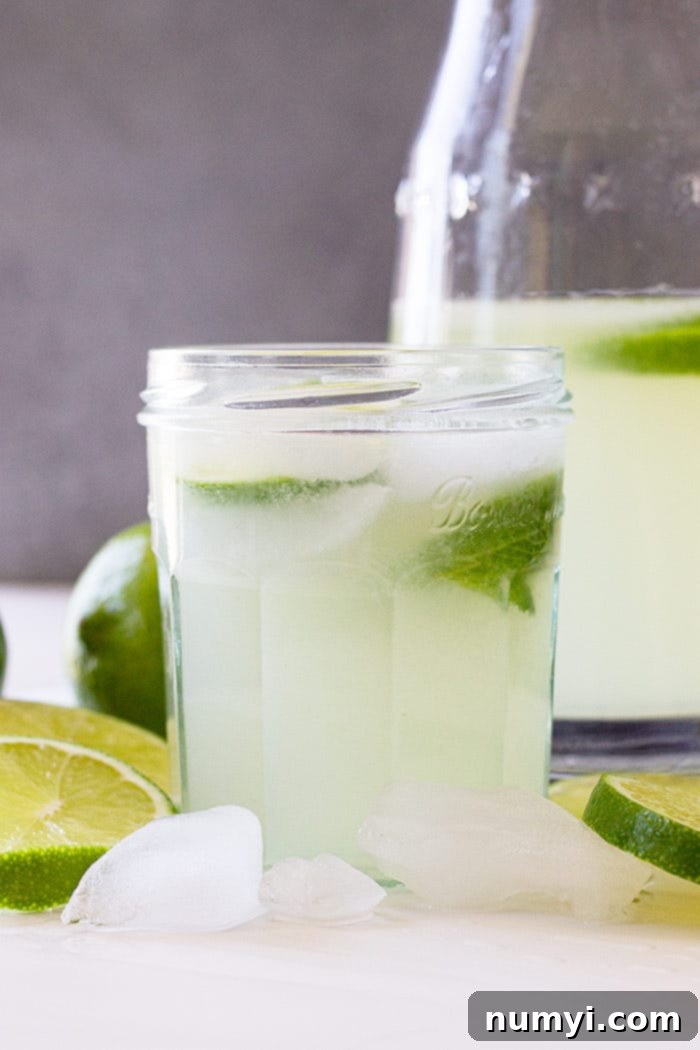Refreshing Homemade Limeade 4 A refreshing glass of limeade with slices of fresh lime.