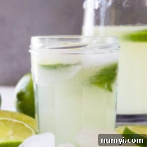 Refreshing Homemade Limeade 7 A refreshing glass of limeade with slices of fresh lime.