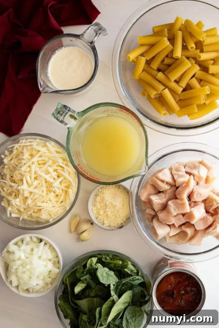 Overhead shot showcasing all the fresh and simple ingredients needed to make a delicious One Pot Chicken Florentine Pasta, neatly arranged on a rustic kitchen surface including chicken, pasta, spinach, tomatoes, and various dairy products.