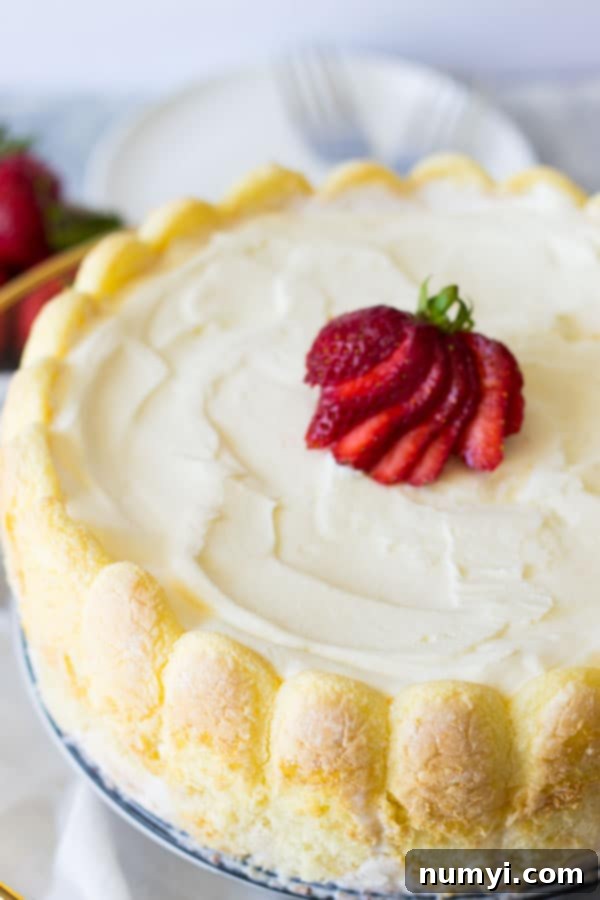 Ladyfinger Strawberry Ice Cream Cake -an easy and eye catching dessert. Layered with strawberry ice cream, luscious strawberries and topped with freshly whipped cream! | www.countrysidecravings.com 
