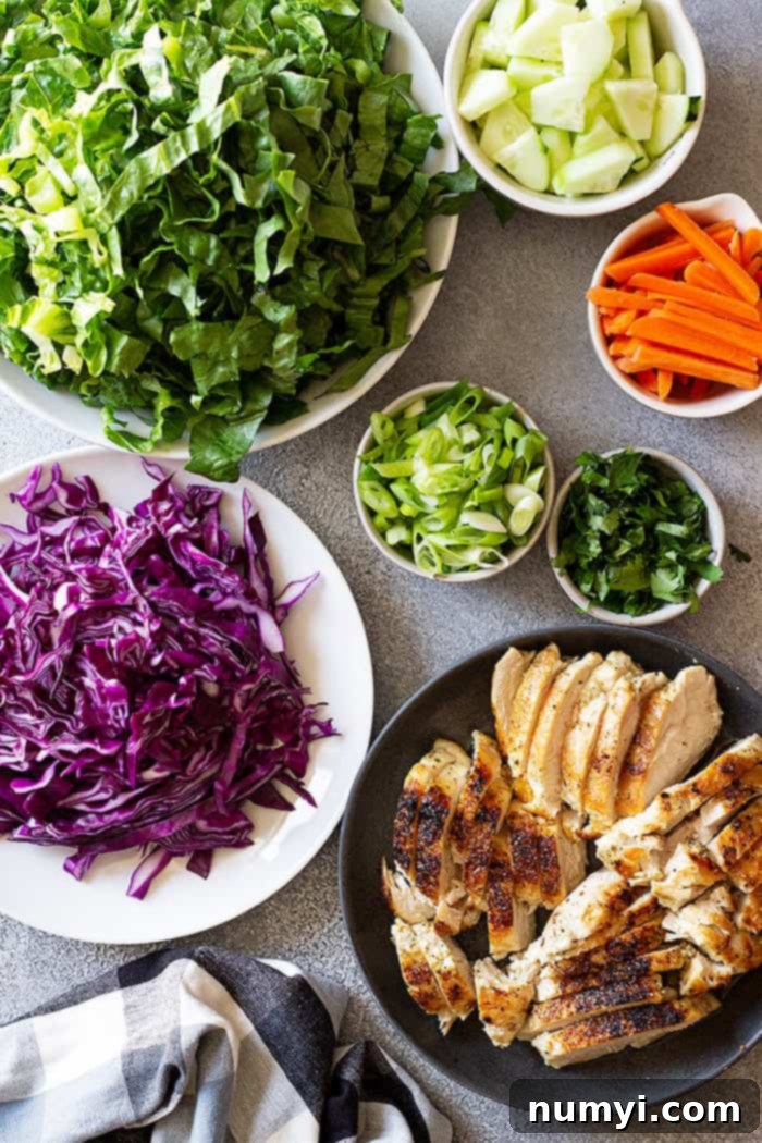 Fresh ingredients laid out beautifully, ready to be transformed into an epic Asian Chicken Salad. Includes shredded cabbage, romaine, cucumber, carrots, cilantro, green onions, and cooked chicken.