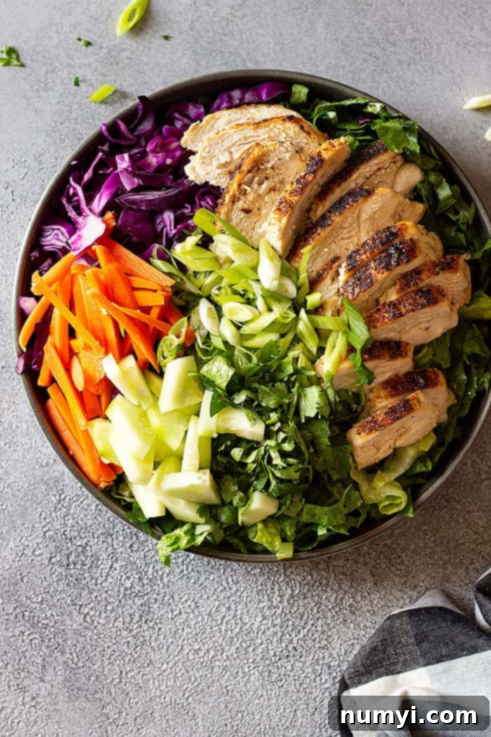 Salad ingredients artfully arranged in a large bowl, including shredded romaine, red cabbage, cooked chicken, green onions, cucumber, carrots, and cilantro, ready for tossing and dressing.