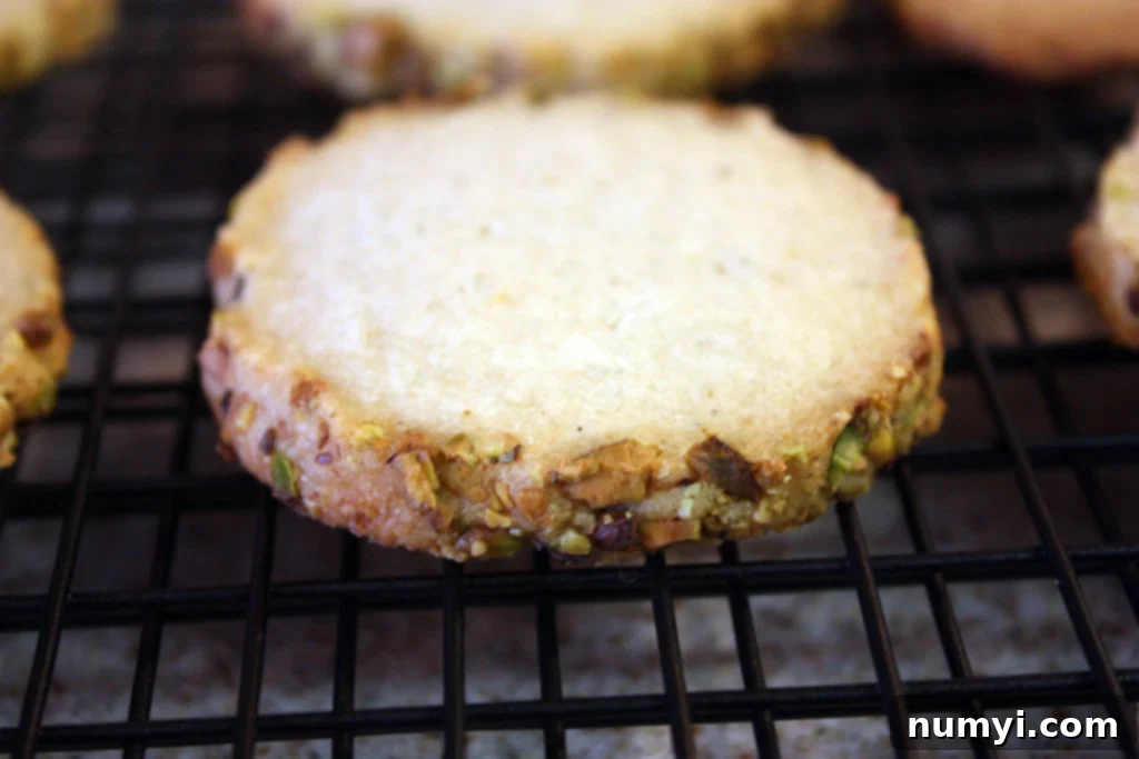 Freshly baked cardamom pistachio cookies cooling on a wire rack, with their golden edges and green pistachio pieces visible.