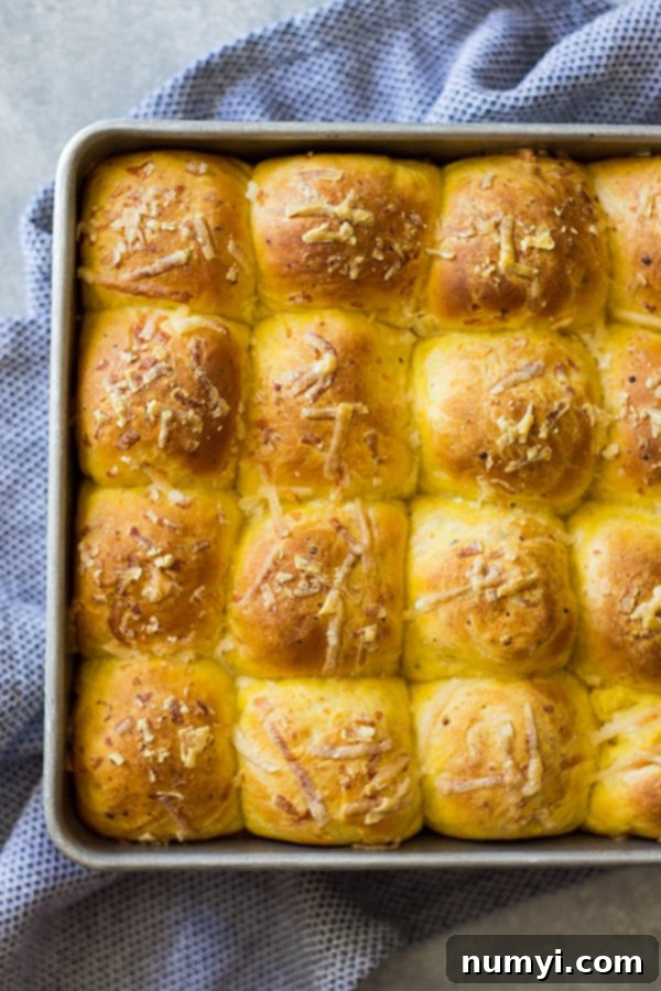 Pan of golden savory pumpkin rolls topped with parmesan cheese, ready to be served.