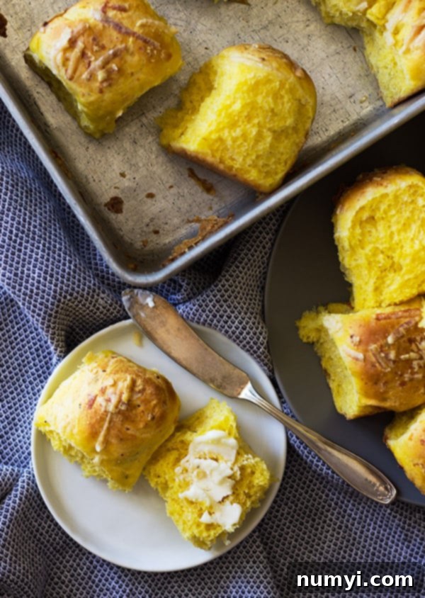 Close-up of a single savory pumpkin roll on a white plate with butter spread on top, ready to eat.