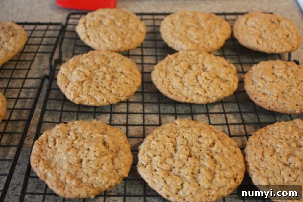 Baked oatmeal cookies on a wire rack.