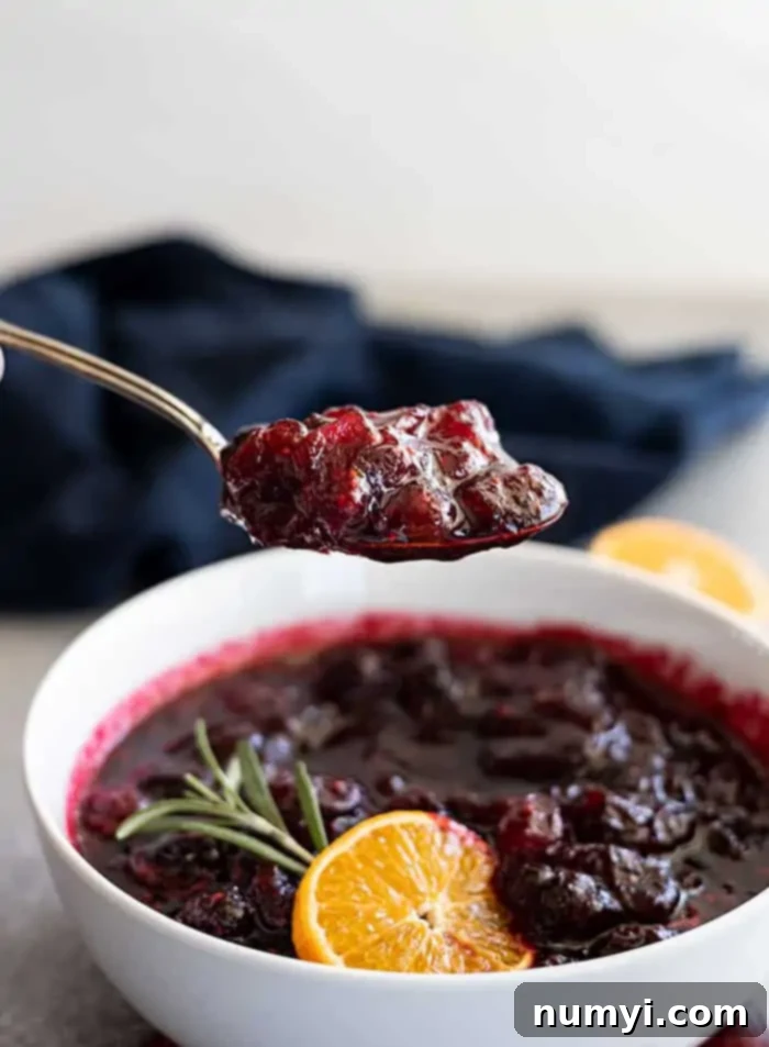 Close-up of fresh cranberries, pomegranate juice, and orange zest, highlighting the simple, vibrant ingredients used in the sauce.