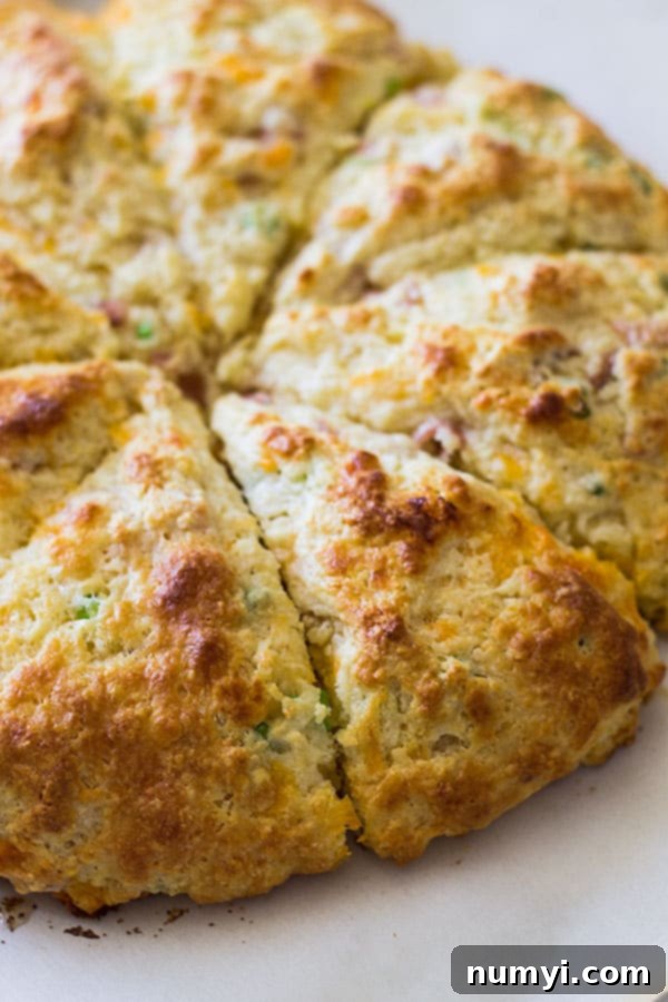 Savory Ham and Cheddar Scones that are easy to make and perfect for breakfast, snack time or with a steaming bowl of soup!