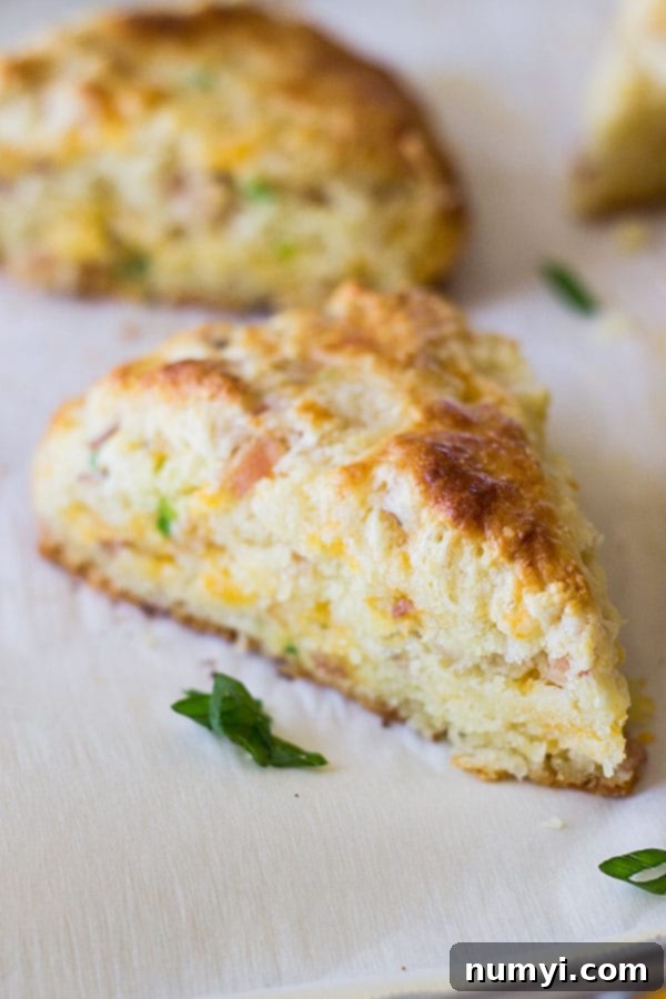 Savory Ham and Cheddar Scones that are easy to make and perfect for breakfast, snack time or with a steaming bowl of soup!
