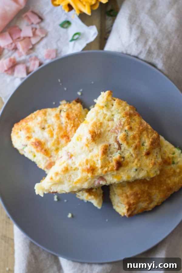 Savory Ham and Cheddar Scones that are easy to make and perfect for breakfast, snack time or with a steaming bowl of soup! | www.countrysidecravings.com