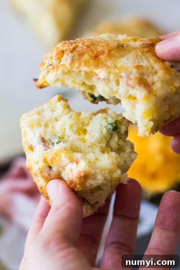 Savory Ham and Cheddar Scones that are easy to make and perfect for breakfast, snack time or with a steaming bowl of soup! | www.countrysidecravings.com