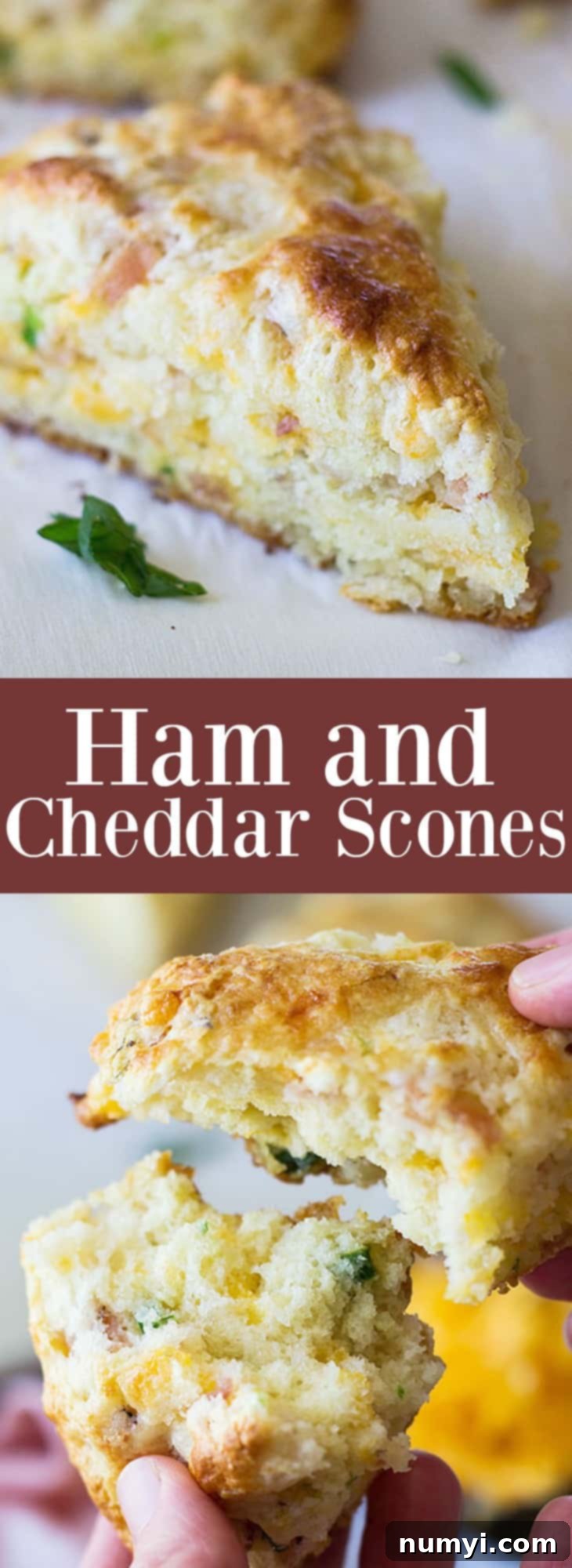 Savory Ham and Cheddar Scones that are easy to make and perfect for breakfast, snack time or with a steaming bowl of soup! | www.countrysidecravings.com