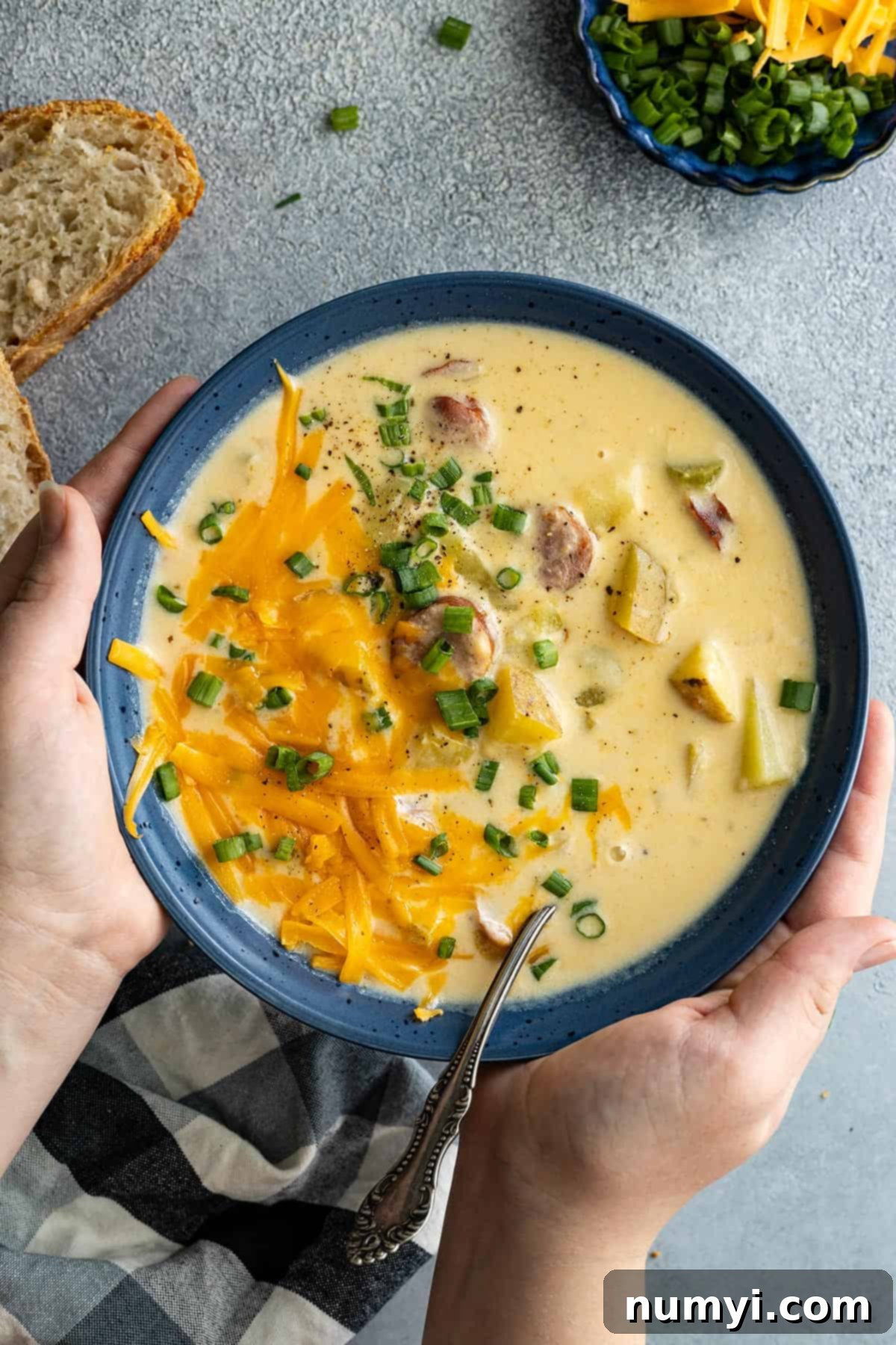 Spiced Cajun Potato Dream 2 Hands holding a bowl of cajun potato soup garnished with cheese and green onion.
