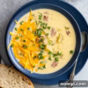 Spiced Cajun Potato Dream 7 Overhead view of creamy cajun potato soup in a blue bowl. Garnished with cheese and green onion and a piece of crusty bread off to the side.