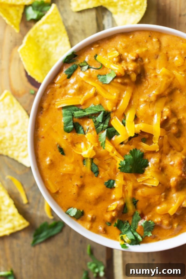 A bowl of homemade chili cheese dip with a side of crunchy tortilla chips, garnished with fresh cilantro