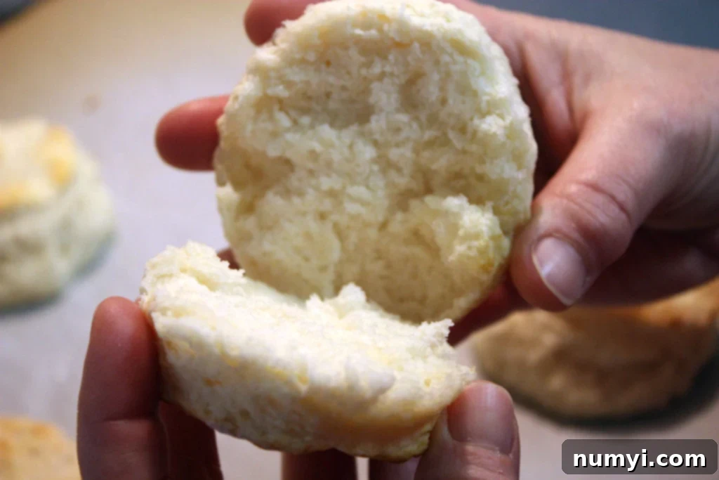 Easy Homemade Tender Soft Flaky Biscuits 12 A warm, flaky homemade buttermilk biscuit sliced in half, revealing its tender, layered interior.